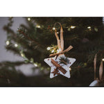 Scented Star Tree Decoration