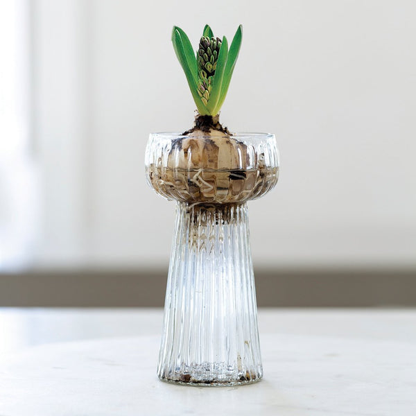 ribbed hyacinth vase