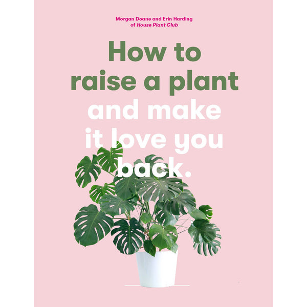 how to raise a plant