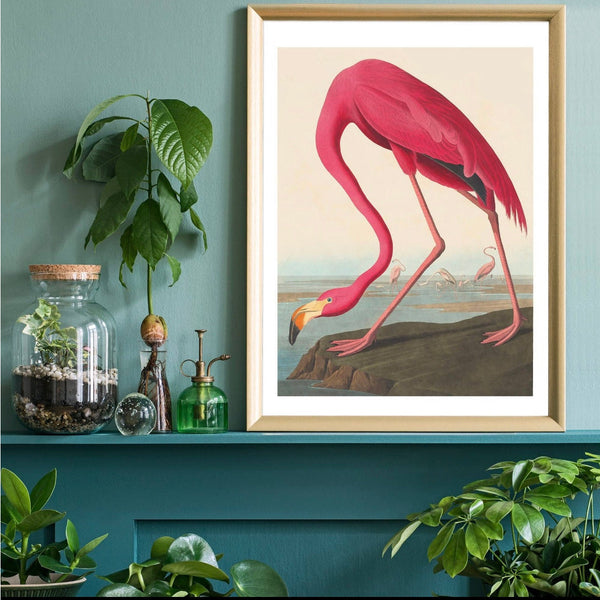 Flamingo Print – Petal & Pad