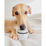 wild. for dogs cloud balm