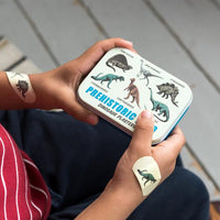 Prehistoric Plasters In A Tin